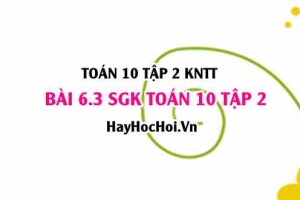 Bài 6.3 SGK Toán 10 tập 2 Kết nối tri thức
